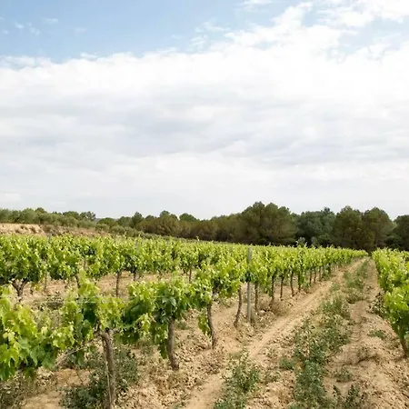 Can Parellada Bodega Carol Valles Holiday home *